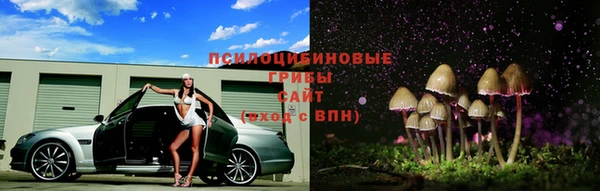прущие грибы Алзамай