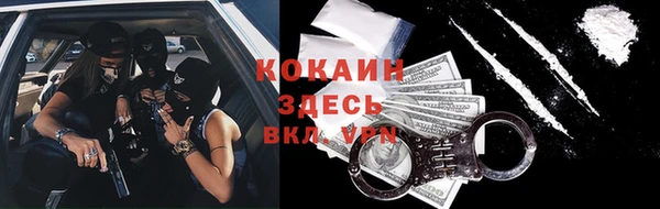 прущие грибы Алзамай