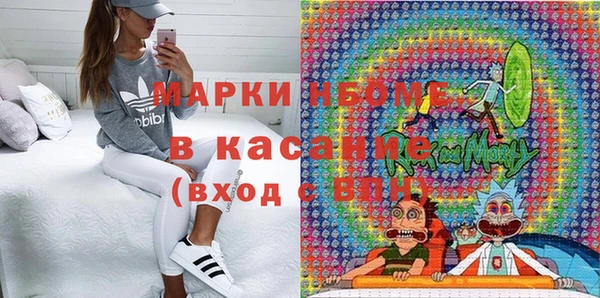 прущие грибы Алзамай
