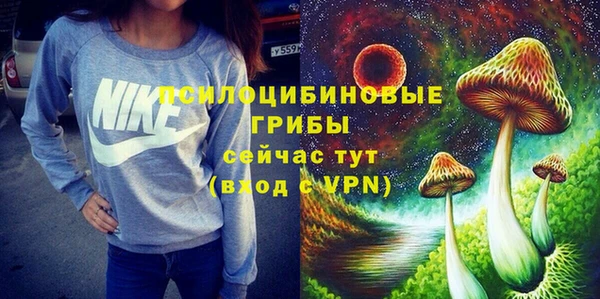 прущие грибы Алзамай