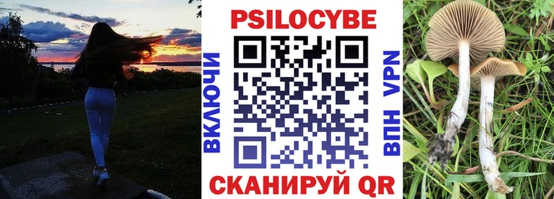 мориарти официальный сайт  наркотики  Навашино  Псилоцибиновые грибы MAGIC MUSHROOMS 